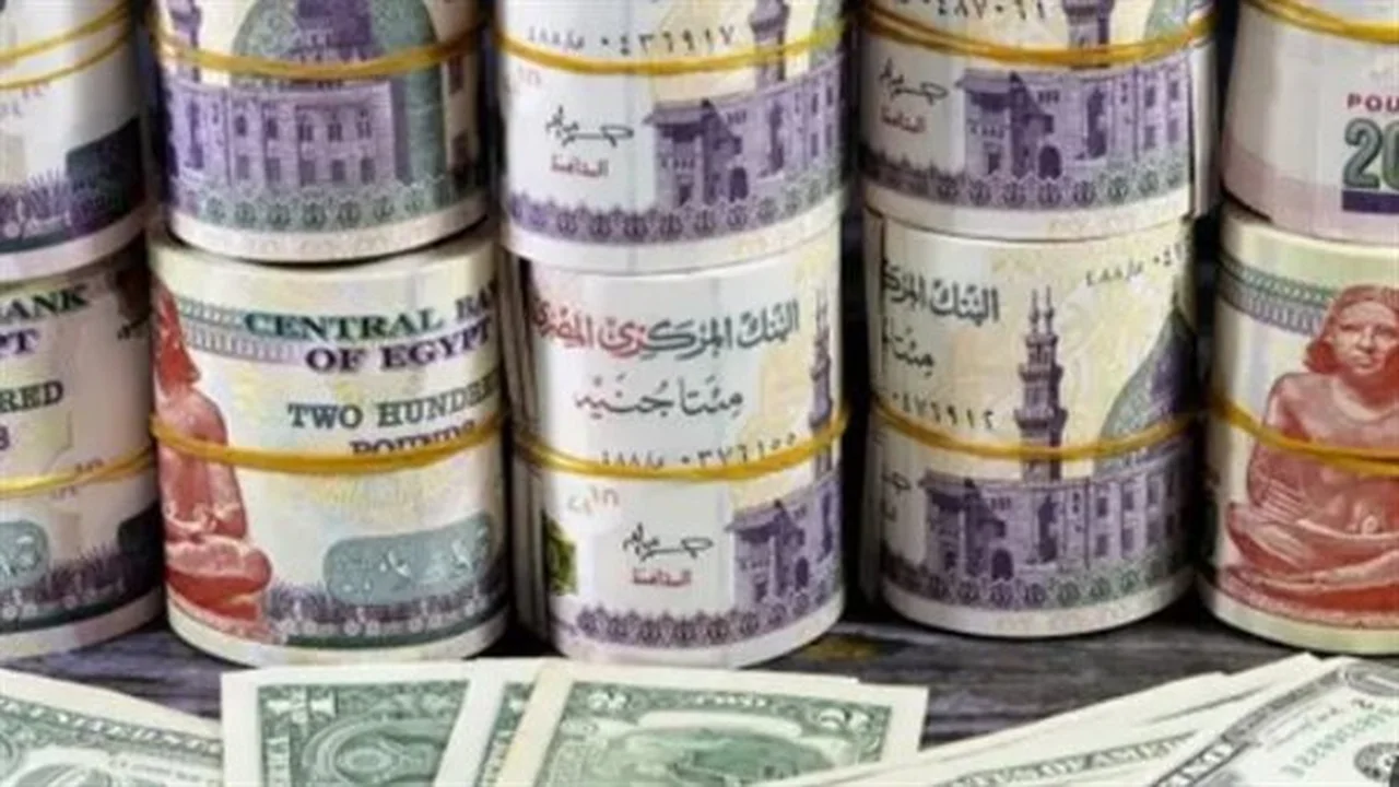 أسعار الدولار اليوم.. تحديث لحظي في جميع البنوك المصرية